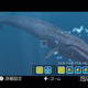 Illustration for article titled Taking A Dip In Endless Ocean 2 Screenshots